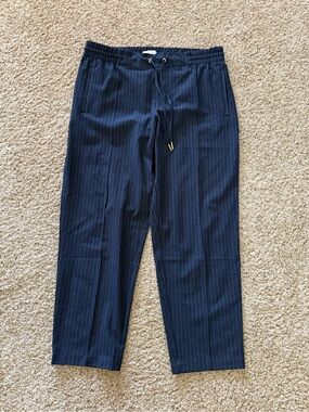 NWOT Tommy Hilfiger Navy Pinstripe Pull On Ankle Pants Women’s Large